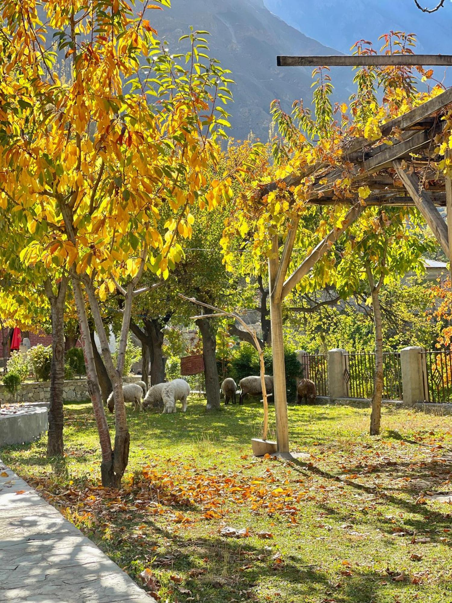 Dumani Nagar Hotel & Resort Karimabad  Eksteriør bilde